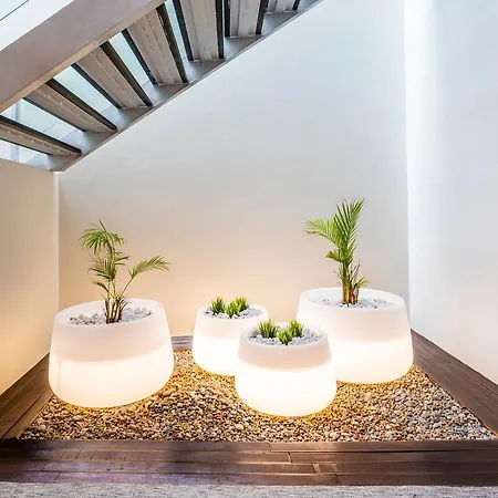 Czar Hotel Lisbon